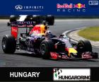 Daniel Ricciardo 2015 Macaristan Grand Prix